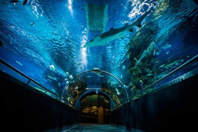Tropicarium & Budimpeštanski zoološki i botanički vrt