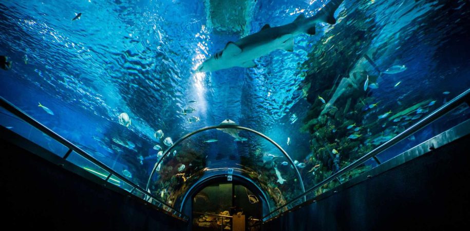 Tropicarium & Budimpeštanski zoološki i botanički vrt